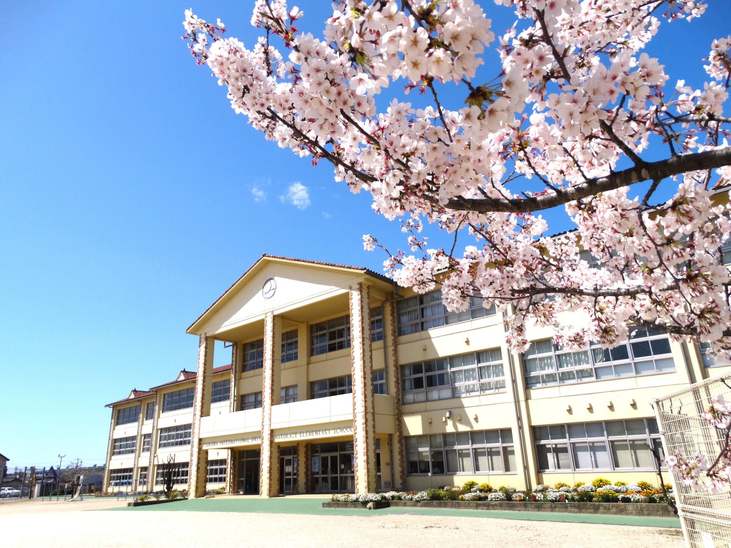 学校をつくろう!!2 つくば国際大学東風小学校｜日本の学校・幼稚園・塾｜海外教育
